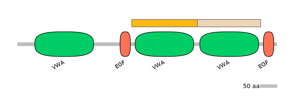HsaEX0070745-EXC