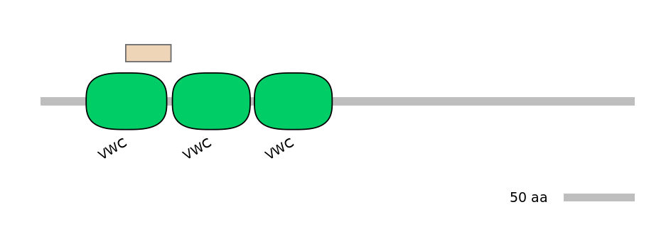 HsaEX0070789-EXC