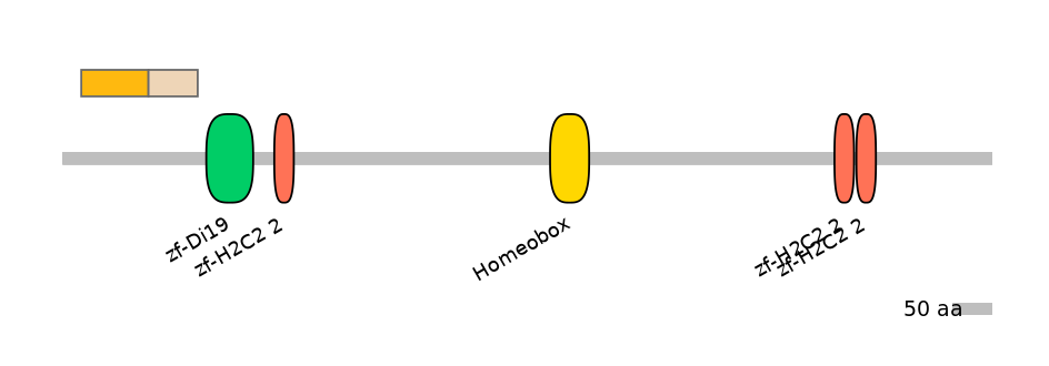 HsaEX0072576-EXC