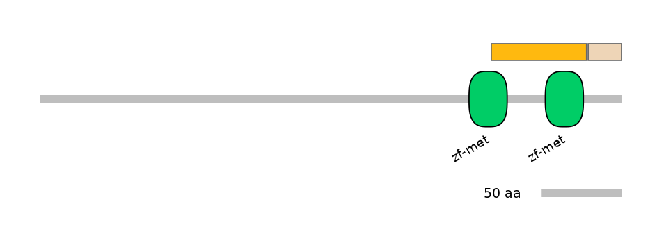 HsaEX0072704-EXC