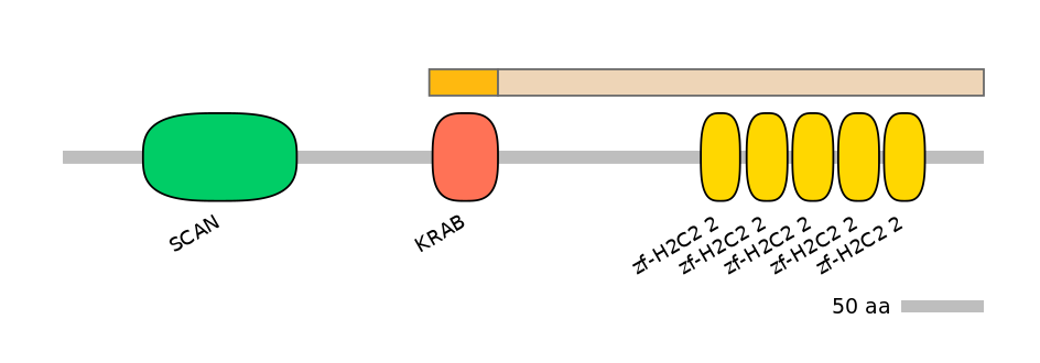 HsaEX0072819-EXC