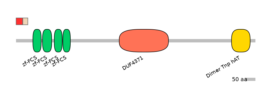 HsaEX0072872-INC
