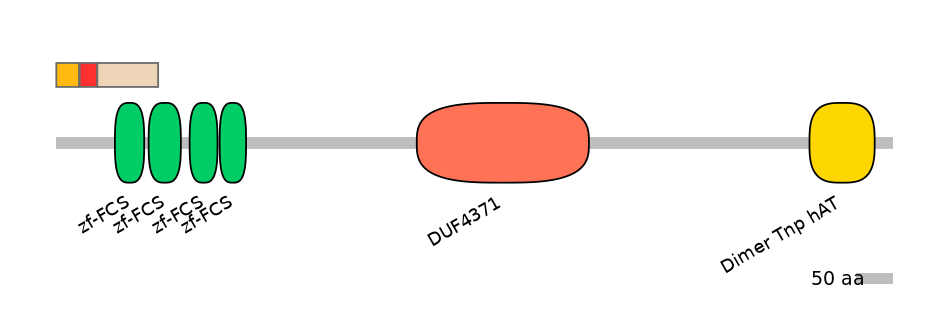HsaEX0072875-INC