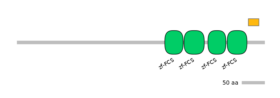 HsaEX0072883-EXC