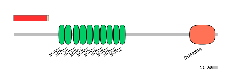HsaEX0072896-INC