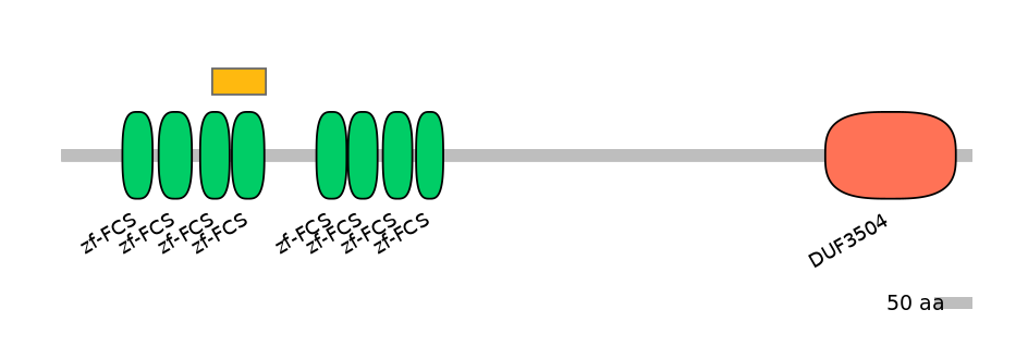 HsaEX0072903-EXC