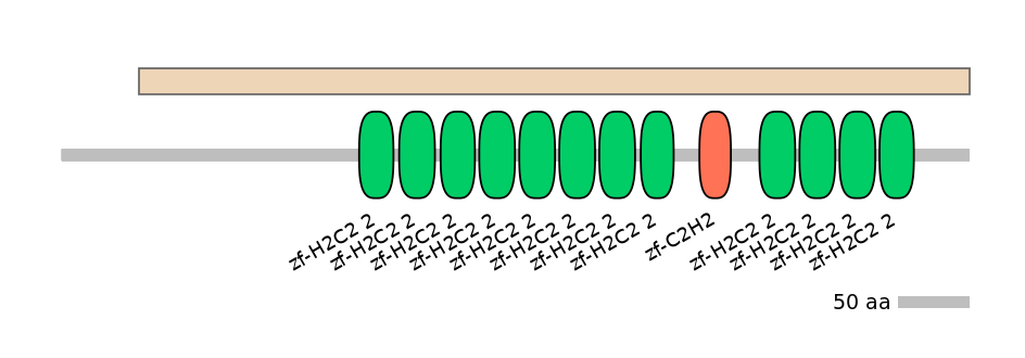 HsaEX0073030-EXC