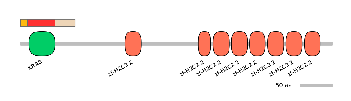 HsaEX0073107-INC