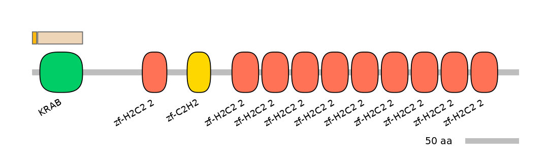 HsaEX0073251-EXC
