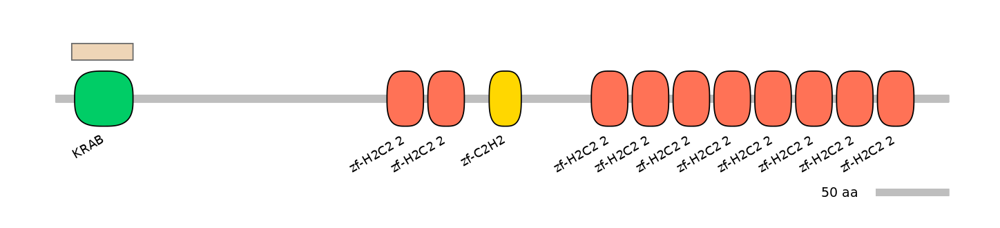HsaEX0073508-EXC