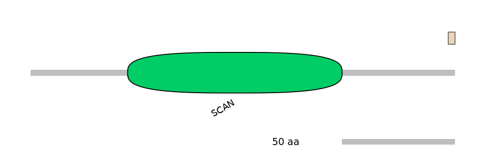 HsaEX0073586-EXC
