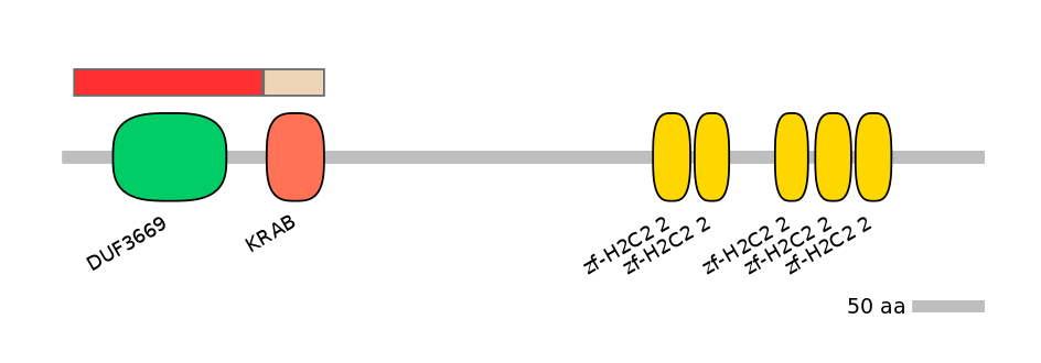 HsaEX0073589-INC