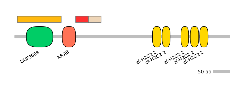 HsaEX0073591-INC
