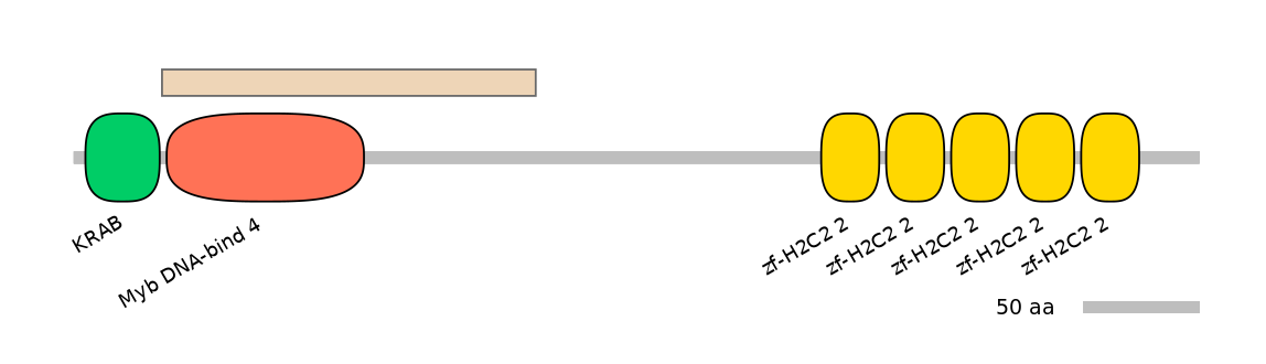 HsaEX0073673-EXC