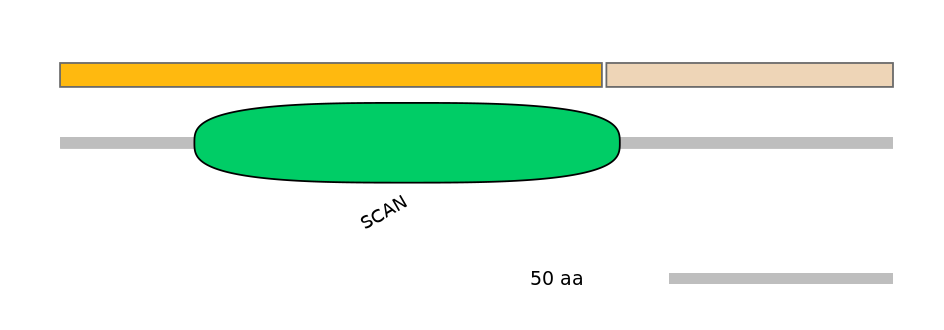 HsaEX0073678-EXC
