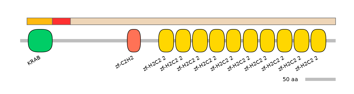 HsaEX0073737-INC