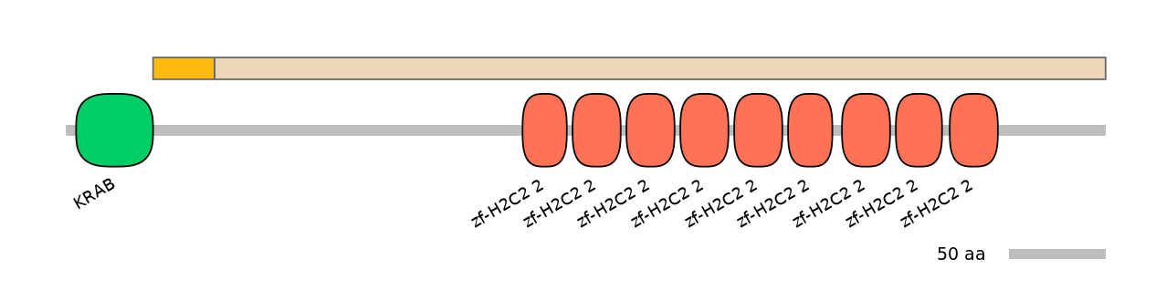 HsaEX0073739-EXC