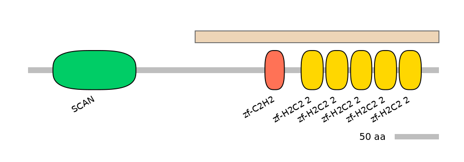 HsaEX0073794-EXC
