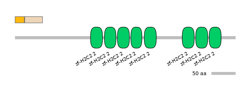 HsaEX0073838-EXC
