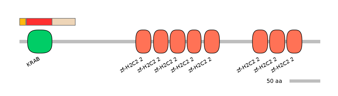 HsaEX0073838-INC