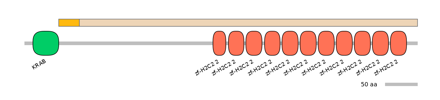 HsaEX0073862-EXC