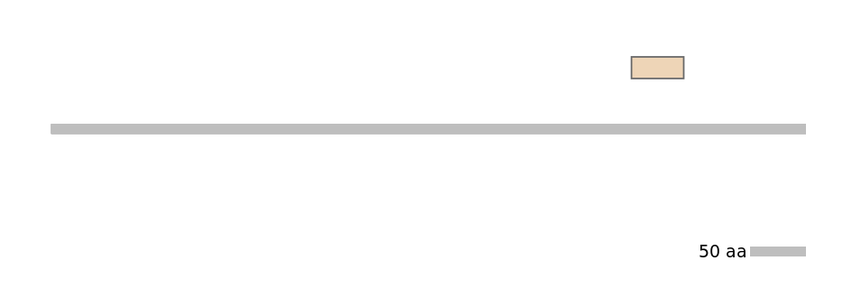 HsaEX0073901-EXC