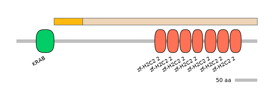 HsaEX0073919-EXC