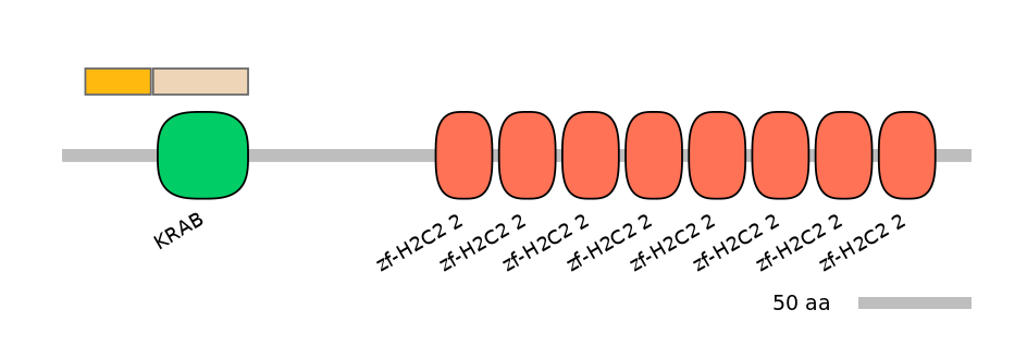 HsaEX0073927-EXC