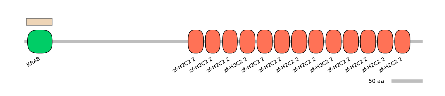 HsaEX0073954-EXC