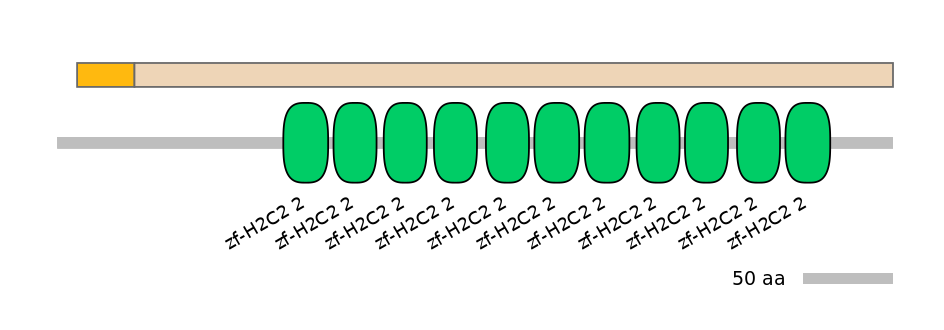 HsaEX0074182-EXC