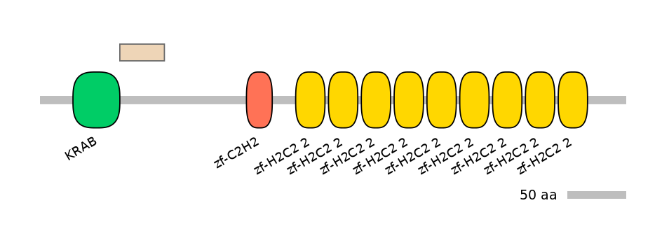 HsaEX0074197-EXC
