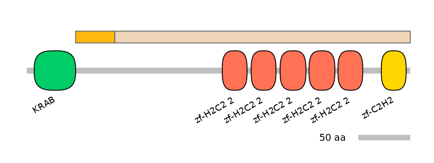 HsaEX0074231-EXC