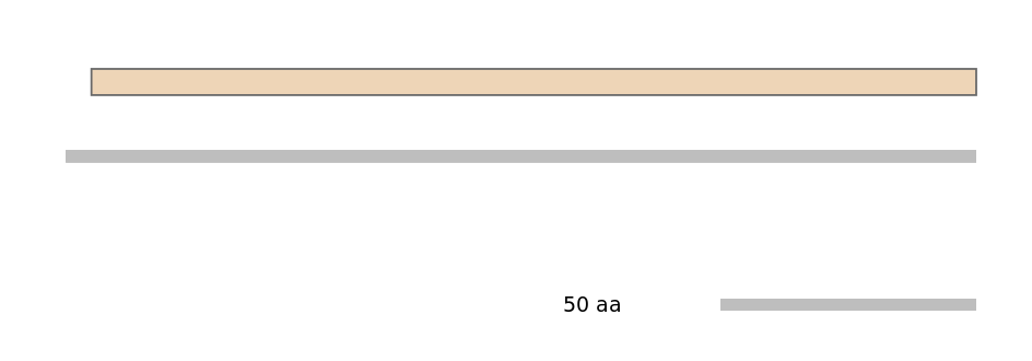 HsaEX0074264-EXC