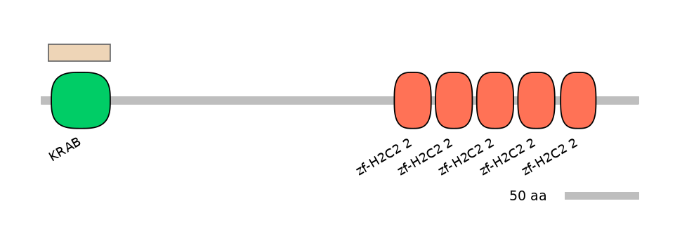 HsaEX0074383-EXC