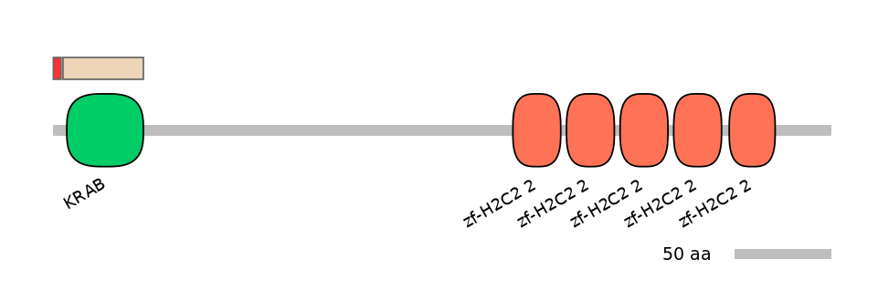 HsaEX0074384-INC