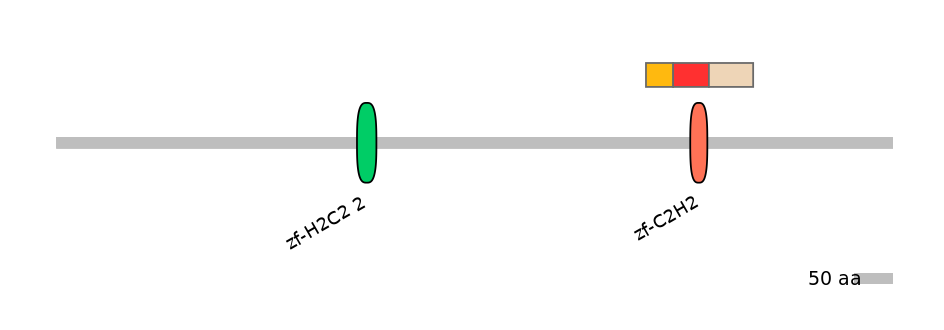 HsaEX0074424-INC