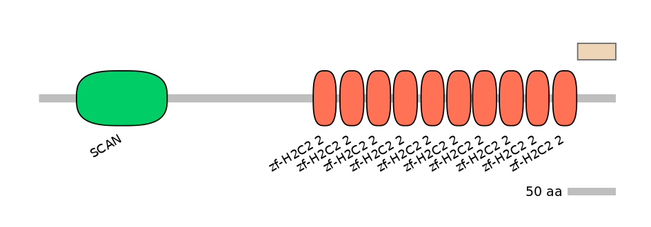 HsaEX0074553-EXC