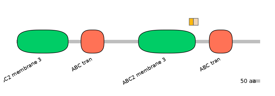 HsaEX1001273-EXC