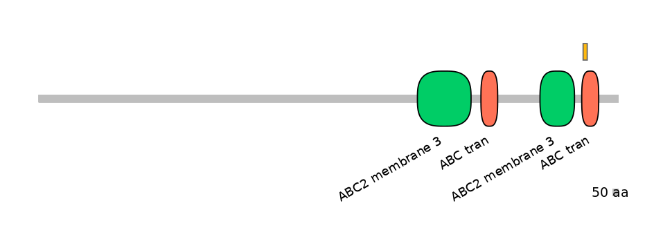 HsaEX1001291-EXC