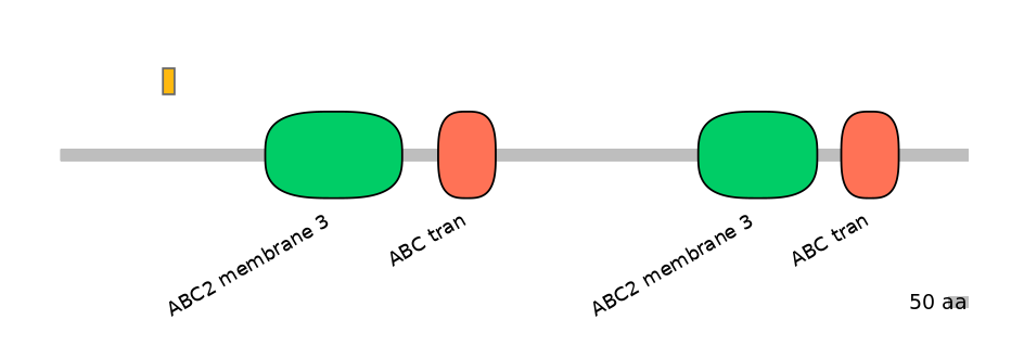 HsaEX1001300-EXC