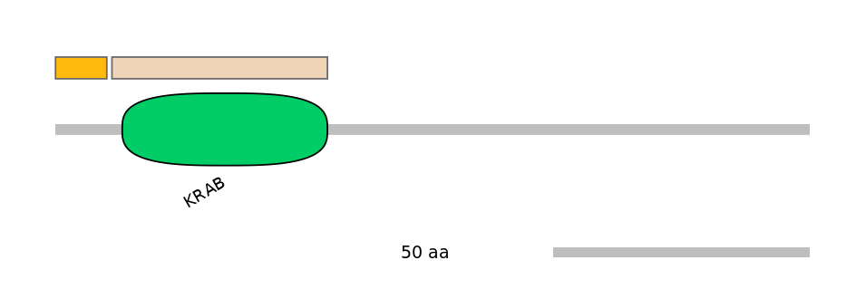 HsaEX1001539-EXC