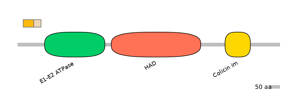 HsaEX1005210-EXC
