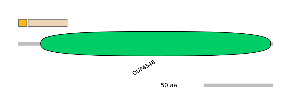 HsaEX1006233-EXC