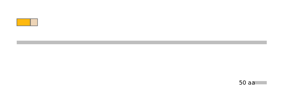 HsaEX1007311-EXC