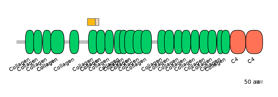 HsaEX1009431-EXC