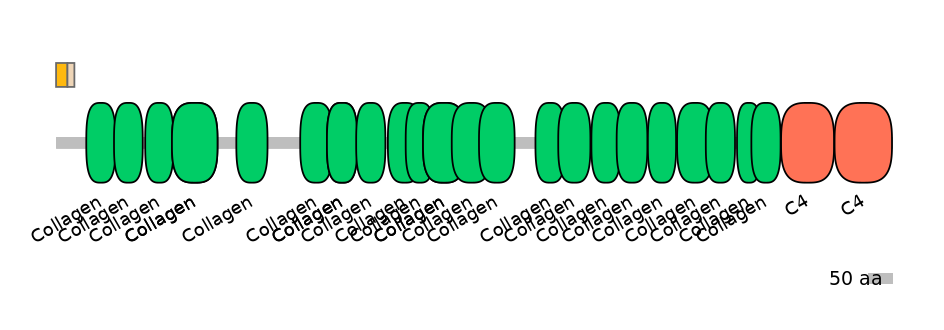 HsaEX1009434-EXC