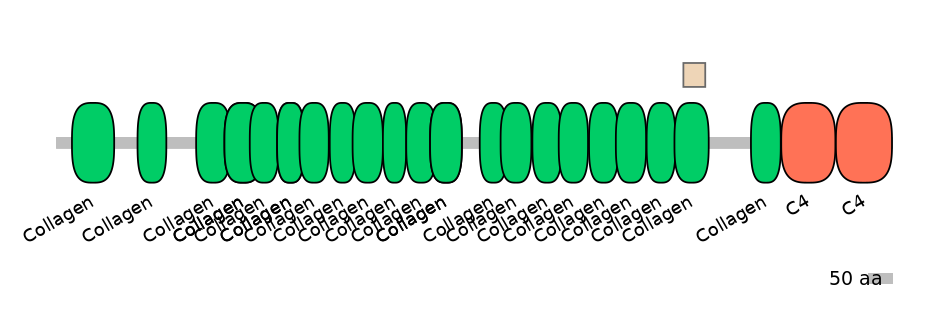 HsaEX1009437-EXC