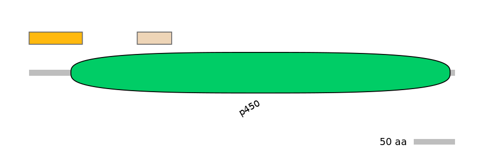 HsaEX1010898-EXC