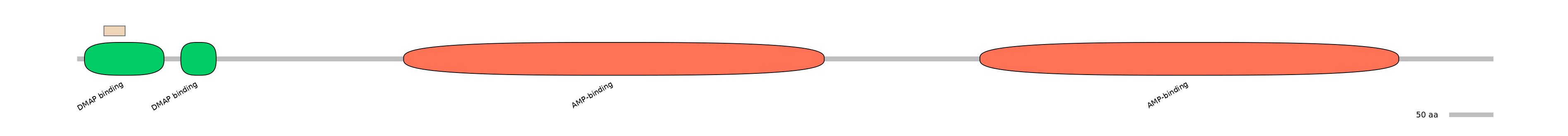 HsaEX1011605-EXC