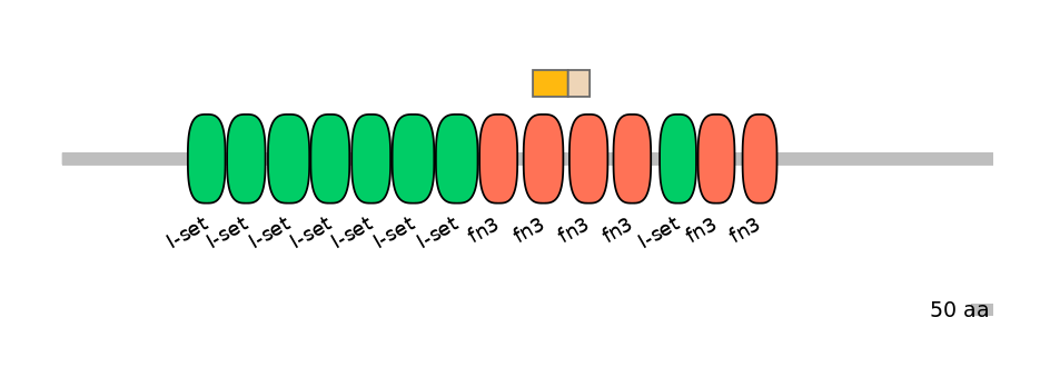 HsaEX1012382-EXC